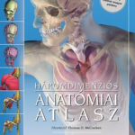 Háromdimenziós anatómiai atlasz