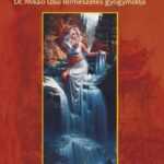 Mindennapi reiki - DR. Mikao Usui természetes gyógymódja