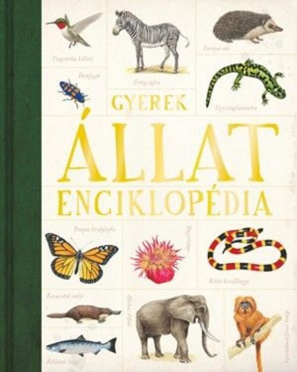 93100267_9789632446332_cover.jpg Gyerek-Állatenciklopédia