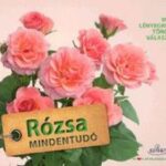 93101819_rozsa-mindentudo_cover.jpg Rózsa mindentudó - 99 lényegretörő válasz