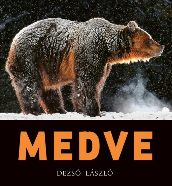 93156805_medve.jpg MEDVE