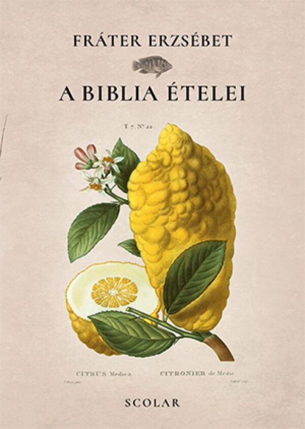 93261922_80sjilew3yvz64rb4g7vtolnqw4k6iovzs7hp1rq_cover.jpg A Biblia ételei
