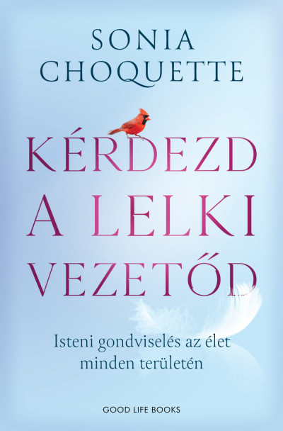 93476055_9786156455307.png Kérdezd a lelki vezetőd - Isteni gondviselés az élet minden területén