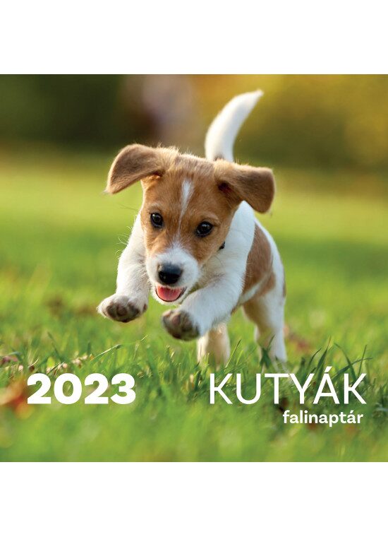 96256799_5998046503300.jpg Kutyák falinaptár - 2023