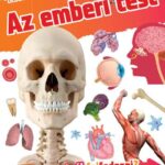 Fedezd fel! Az emberi test