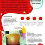 Fedezd fel! Az emberi test