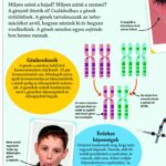 Fedezd fel! Az emberi test